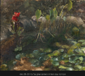 איילת ציורי נוף בצבעי שמן